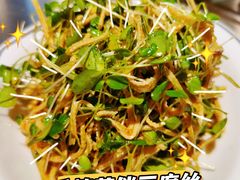 香椿苗伴豆腐丝-炉队长·齐齐哈尔家庭烤肉(马家堡店)
