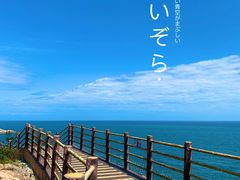 -广东惠东海龟国家级自然保护区
