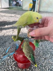 -萌宠亲子动物乐园(槐房万达店)