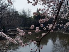 -宣武艺园