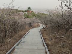 -北京西山国家森林公园