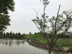 -嬉乐湾休闲旅游区