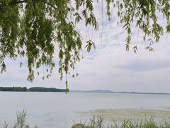 -苏州湾体育公园