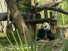 -武汉动物园