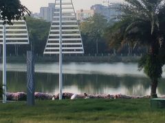 -南宁南湖公园