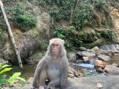 -姑婆山旅游区