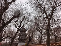 -哈尔滨极乐寺