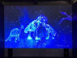 -恐龙探索乐园(磁器口店)