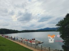 -佛手湖郊野公园