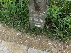 -梧桐山风景名胜区