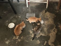 -时光转角咖啡馆(西康路店)