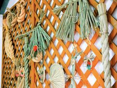 茭白叶编织品-练塘古镇