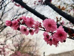 -北京明城墙遗址公园