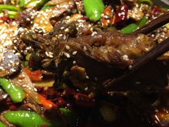 -猫头婴小酒馆FUN OWL(1912店)