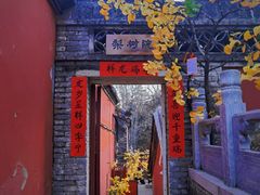 -潭柘寺景区