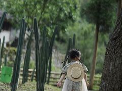 -MOJ coffee(瓯海泽雅水碓坑店)