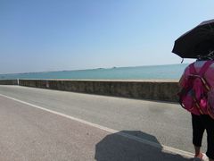 -北海金海湾红树林生态旅游区