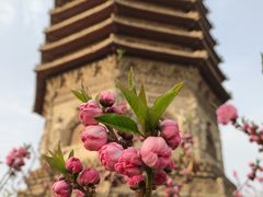 -玲珑塔公园