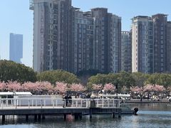 -新江湾城公园