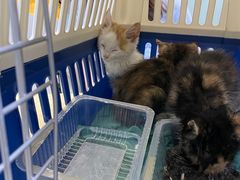 -中农大我爱我爱动物医院(甜水园店)