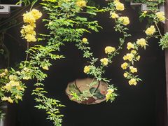 -虞山城墙