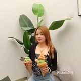 抹茶控一定要来的甜品店