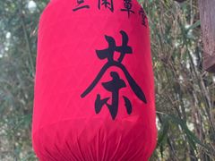 -渤公岛生态公园