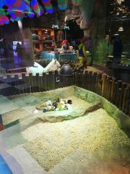 -宝燕乐园(闵行旗舰店)