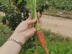 -百果山乐享果玩