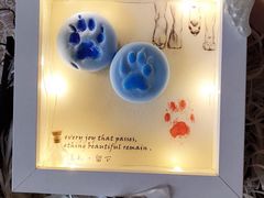 -翡翠森林宠物火化殡葬(通州店)