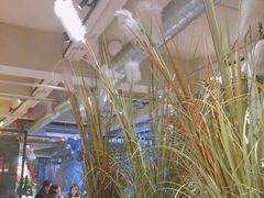 -时光乌托邦空中花园餐厅川味·融合菜(幸福广场店)