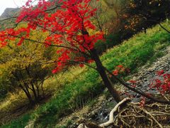 -九鼎铁刹山风景区