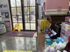 -宠爱国际动物医院·消化内科·心肾内科·ISFM猫友好(望京店)