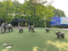 -保利石象湖景区