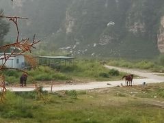 -孤山寨风景区