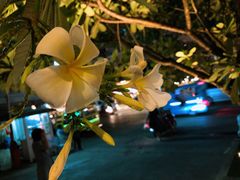-Let's Relax Spa(Phuket 3rd Street)