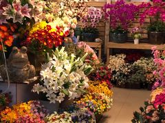 -双季花艺园艺市场(浦东店)