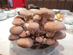 -捞神汤物料理(正大广场店)