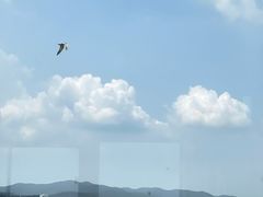 -长圻码头