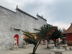 -长沙黑麋峰国家森林公园