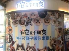-和它·交个朋友·狗咖猫咖(爱琴海店)