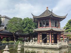 -碧江金楼