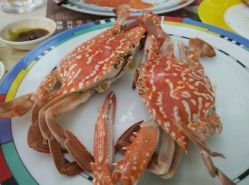 -阳光五洲大酒店·宴会厅