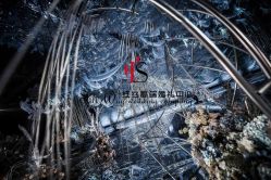 点击看大图 -上海雅居乐万豪侯爵酒店·宴会厅