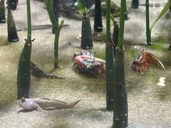 -欢乐海岸海洋奇梦馆