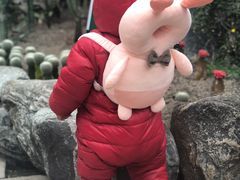 -南山植物园