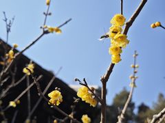 -颐和园