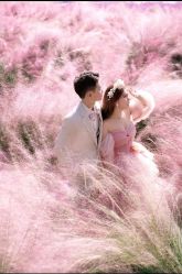 -莫兰迪婚纱摄影