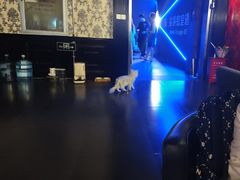 -瞳·实景密室逃脱(护国店)
