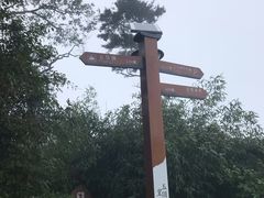 -洛阳白云山景区